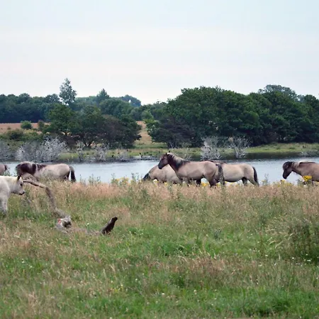La Casa Schauinsland Appartement *